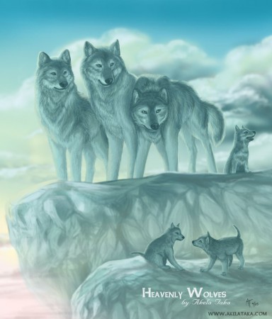 Zástupce klan leadra Jirka